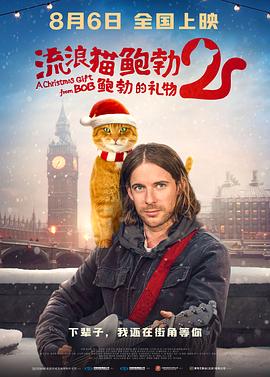 猫咪永久地域网名是什么